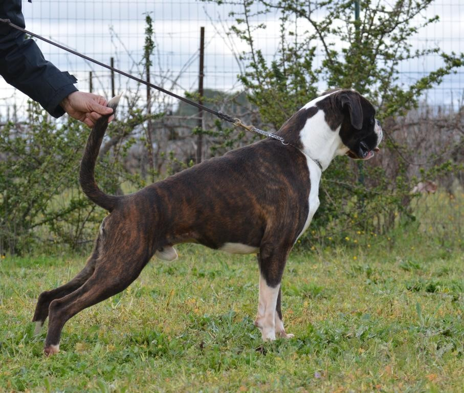 HERO LA MIA COSA